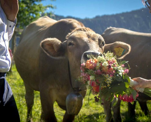 Hochzeitsfotografie-Fuessen-20170608-038-by-Volker-Anders Hochzeitsfotograf Füssen